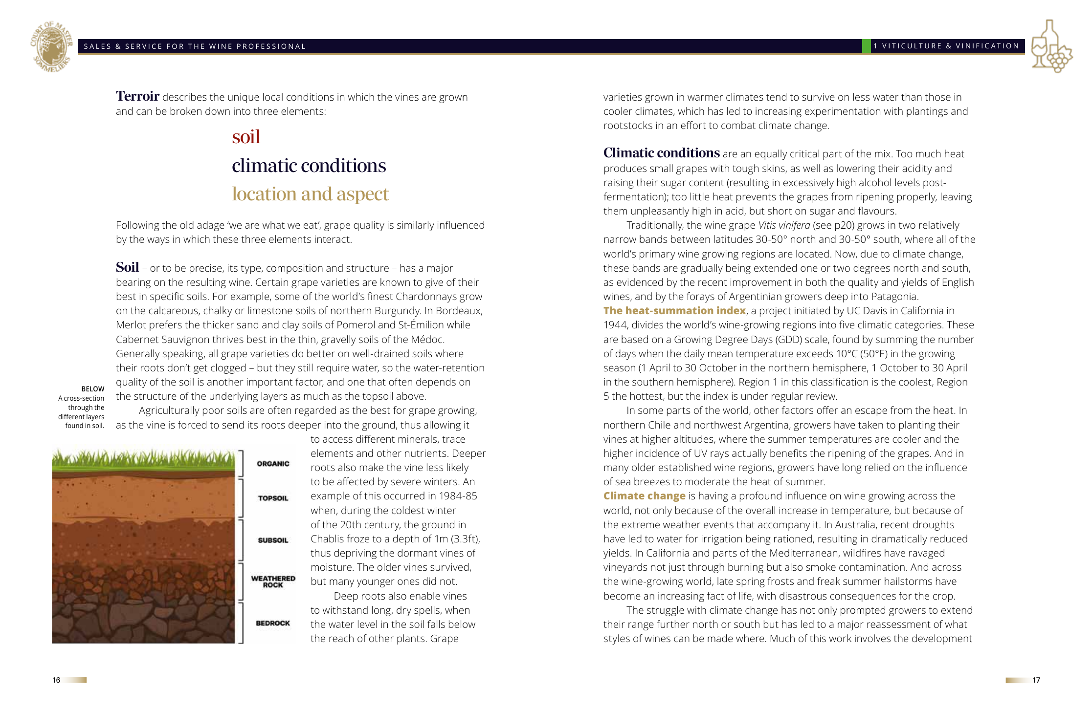 A page from Chapter 1: Terroir &mdash; a cross-section of the soil