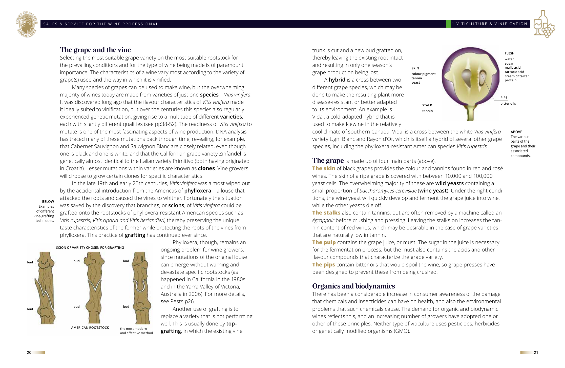 A page from Chapter 1: The grape & the vine &mdash; anatomy