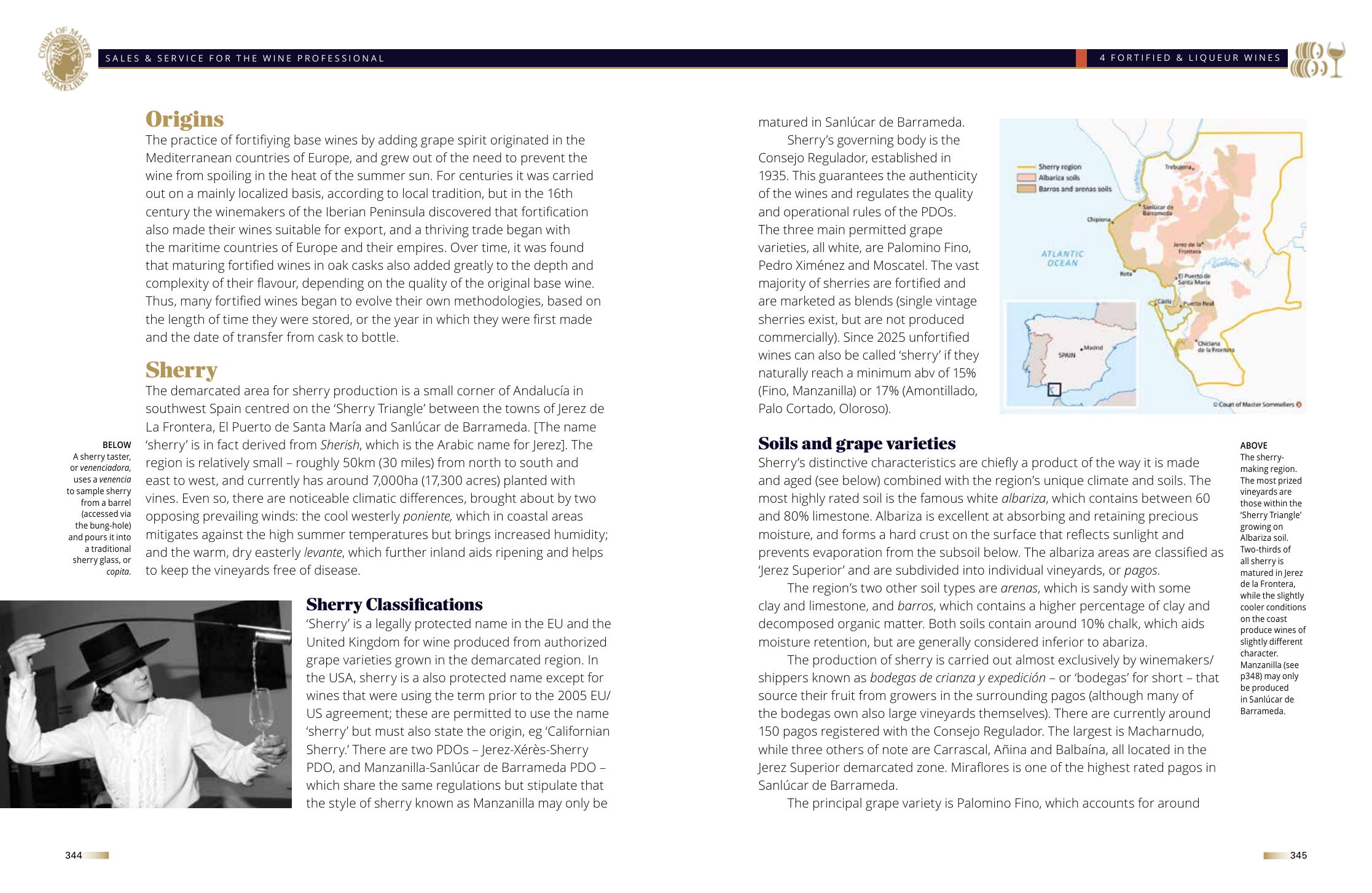 A page from Chapter 4: Sherry classifications & the bodega